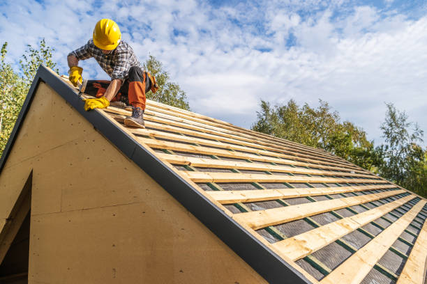 Best Roof Gutter Cleaning  in Laupahoehoe, HI