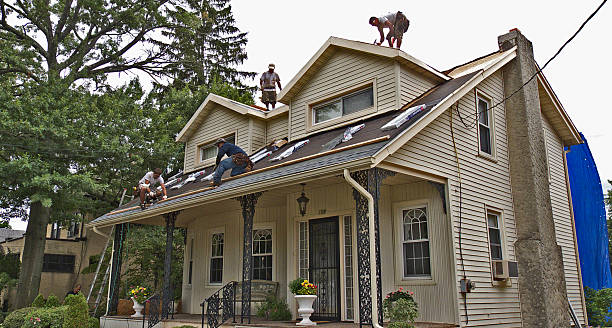 Best Roof Replacement Cost  in Laupahoehoe, HI